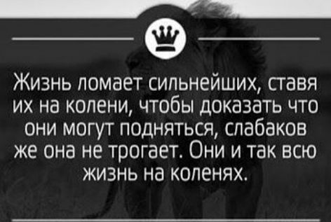 Жизнь ломает сильнейших ставя их на колени чтобы доказать что они могут подняться спабаков же она НЕ трогает ОНИ И ТВК ВСЮ ЖИЗНЬ на коленях