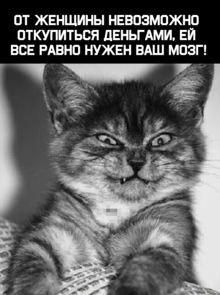 ОТ ЖЕНЩИНЫ НЕВОЗМОЖНО ОТКУПИТЬСЯ дЕНЬГАМИ ЕЙ ВОЕ РАВНО НУЖЕН ВАШ МОЗГ