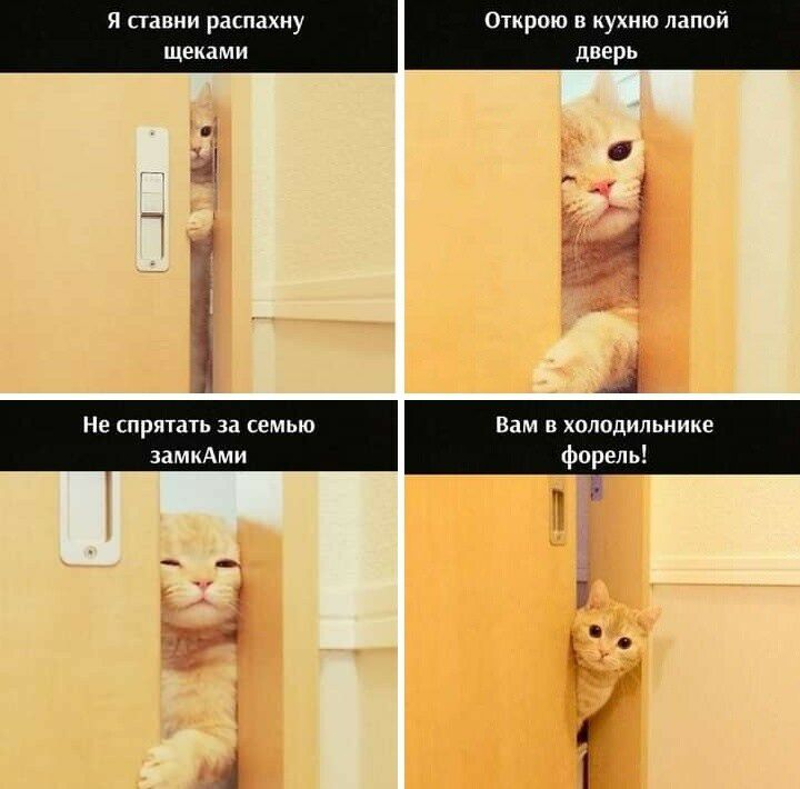 я ставни распахну Открою в кухню папой щеками дверь Не спрятать за семью замкАми