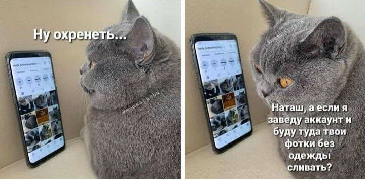 чёт пи я ввёл аккауити Ёуду тут он фотки без одежды пинать