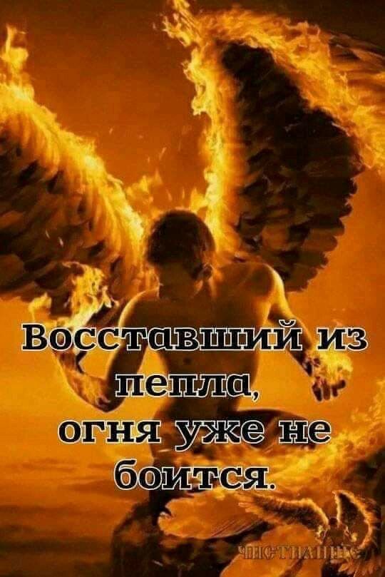 дж ВФЁСТШВШИИ ийіужёщсё 1