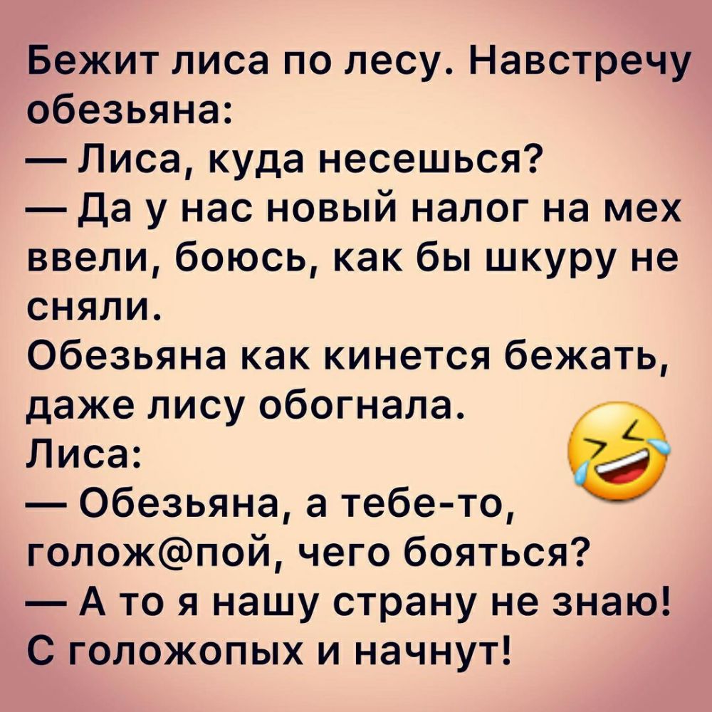 Бежит лиса по лесу Навстречу обезьяна Лиса куда несешься Да у нас новый налог на мех ввели боюсь как бы шкуру не сняли Обезьяна как кинется бежать даже лису обогнала Лиса Обезьяна а тебе то голожпой чего бояться А то я нашу страну не знаю С голожопых и начнут