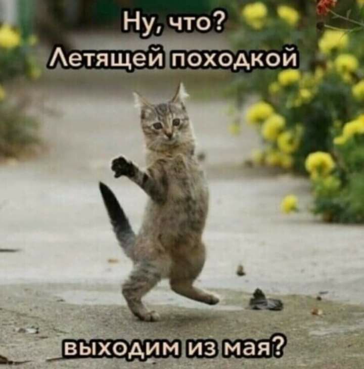 Ну что О _етяще__походкои