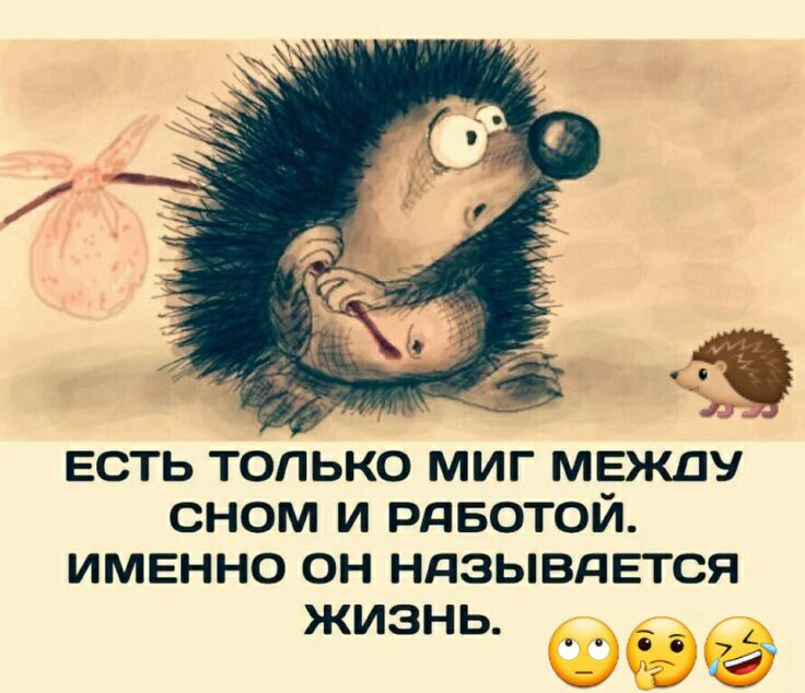 Есть только миг межау сном и работой. Именно он нязывается жизнь.