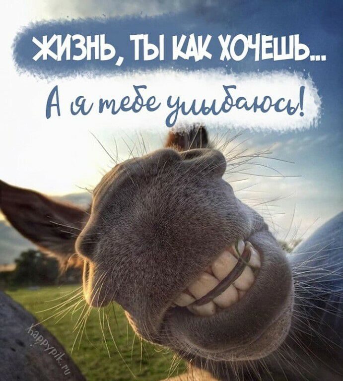 И жизнь, ты ка хочешь...