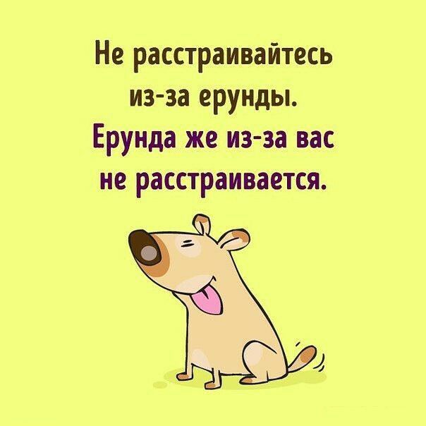 Не расстраивайтесь из за ерунды Ерунда же из за вас не расстраивается
