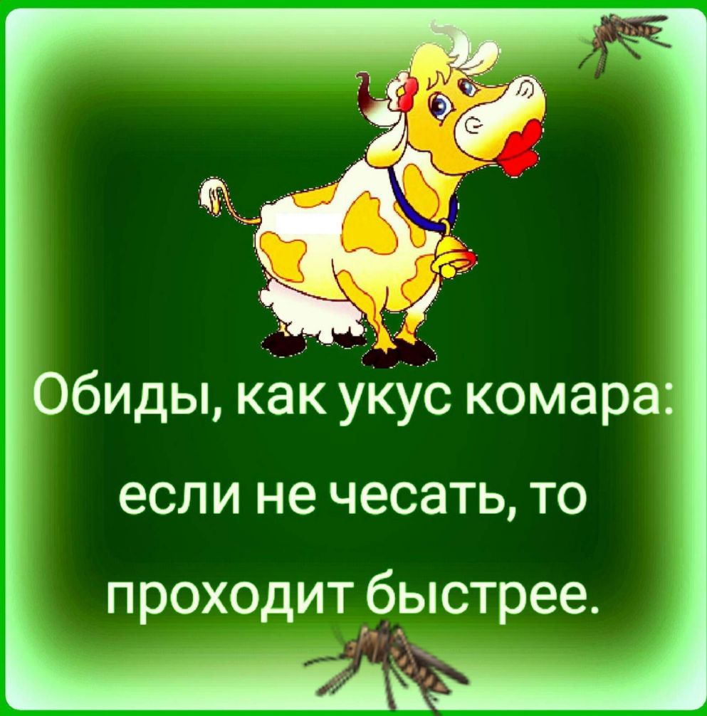 Обиды какукус комара если не ЧЭСЭТЬ ТО проходит быстрее т п