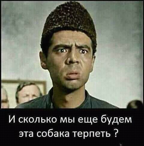 И сколько мы еще будем эта собака терпеть