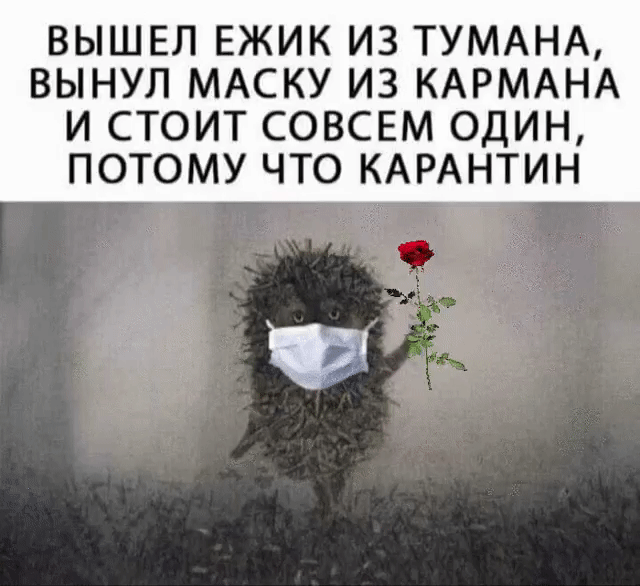 ВЫШЕЛ ЕЖИК ИЗ ТУМАНА ВЫНУЛ МАСКУ ИЗ КАРМАНА И СТОИТ СОВСЕМ ОДИН ПОТОМУ ЧТО КАРАНТИН