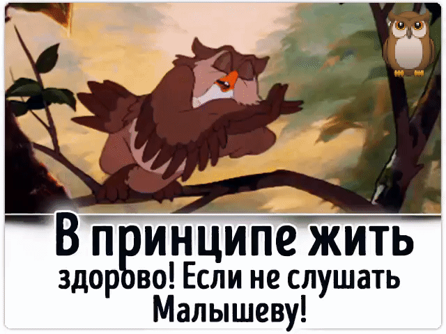 Віі инцип жить здор во Если не слушать Малышеву