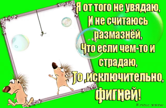 __ ёдшжшшштпюш