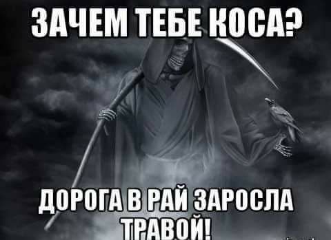 ЗАЧЕМ ТЕБЕ НПВП ы Ъ догпгд в РАЙ _здгоспд пвдвпи __