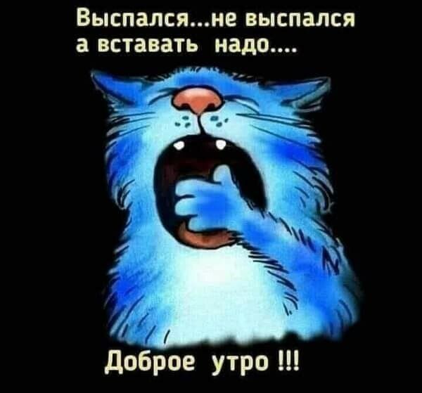ВЬСПЗЛСЯНЕ ВЫСПЗЛСЯ а ВСТЗБЗТЬ надо доброе утро