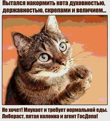 Пытался ИВИППМИТЬ ИМЗ ПППБИВБТЬЩ ЛВПШПИПВТЬШ СИПВПЗМИ И ВЕЛИЧИНА ид ВЧБП ЦЕНЕ И тиши ИППШЬИПИ еды Липсиц Я ИПШШИП И ШЕП подана