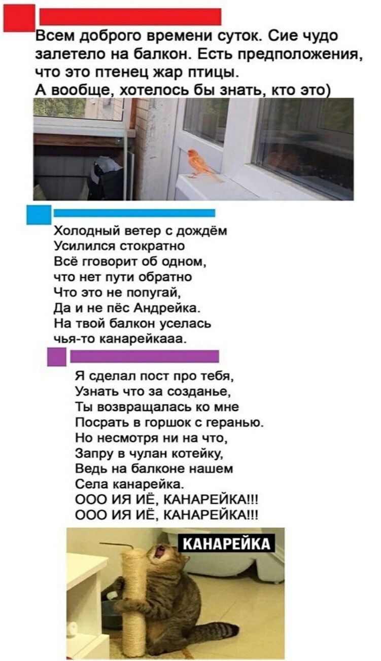 Всем доброго времени суток Сие чудо залетело на балкон Есть предположения что это птенец жар птицы А вообще хотелось бы знать кто это Щ Холодный ветер с дождём Усипипся стократно Всё гговорит об одном что нет пути обратно Что это не попугай да и не пёс Андрейка На твой балкон уселась чья то канарейкааа _ Я сделал пост про тебя Узнать что за созданье Ты возвращалась ко мне Посрать в горшок с герань