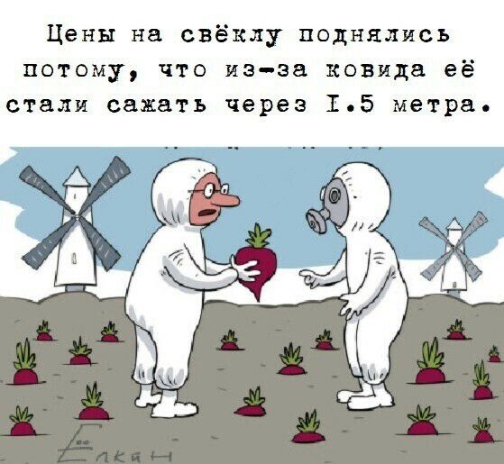 Цены на свёклу поднялись потому что изэа певица её стали сажать через 15 метра