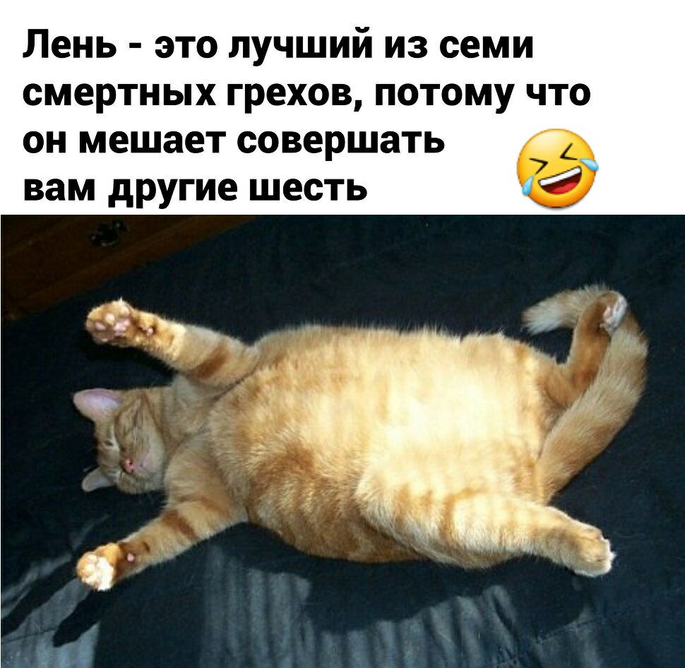 Лень  это лучший из семи смертных грехов, потому что он мешает совершать в вам другие шесть