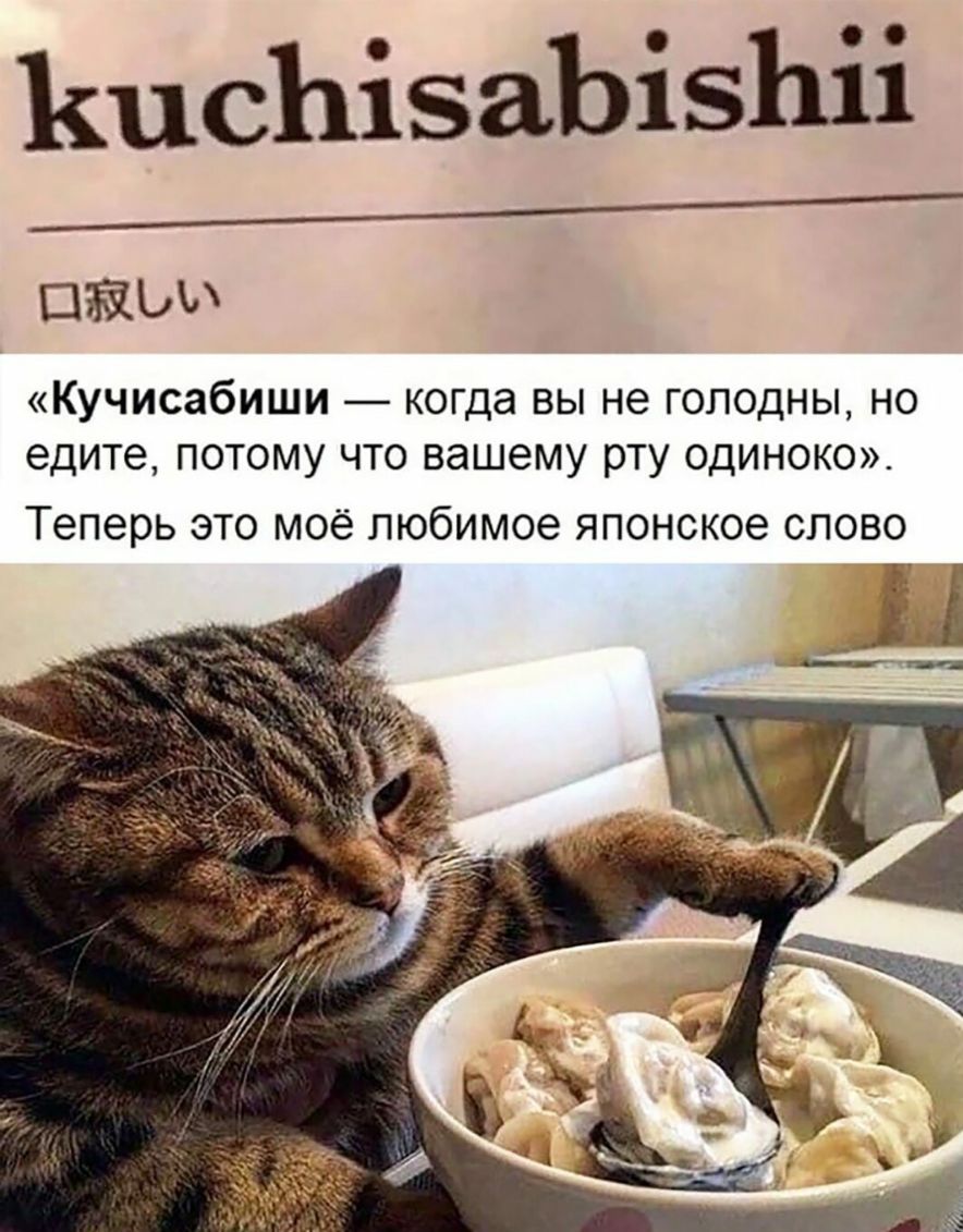 ВпеЬіэаЪізЬіі ПЁЬИ КУЧИСЗБИШИ когда ВЫ не ГОЛОДНЫ НО едите ПОТОМУ ЧТО вашему рту ОДИНОКО