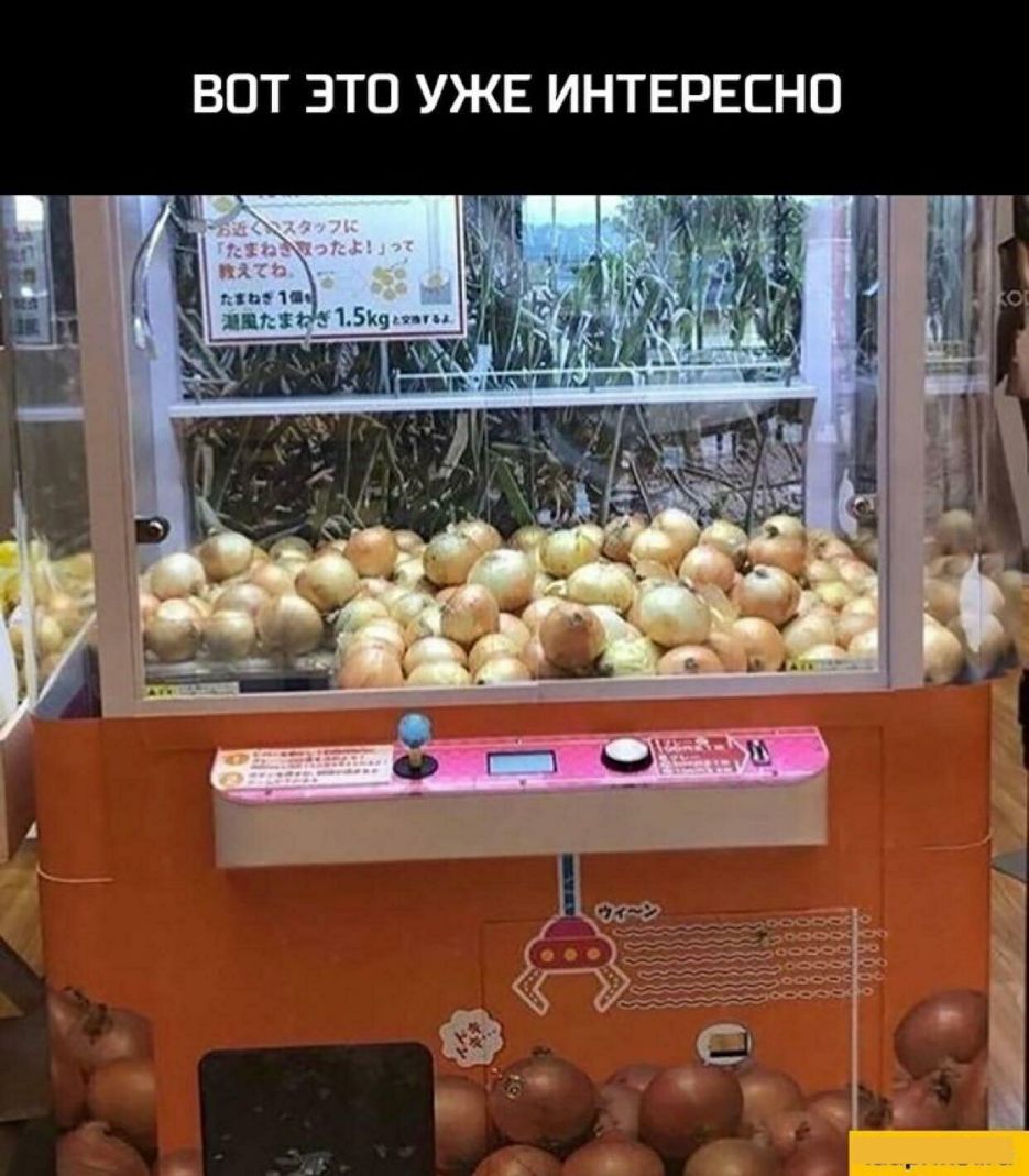 ВОТ ЭТО УЖЕ ИНТЕРЕСНО ш _ ЭЁЦ и