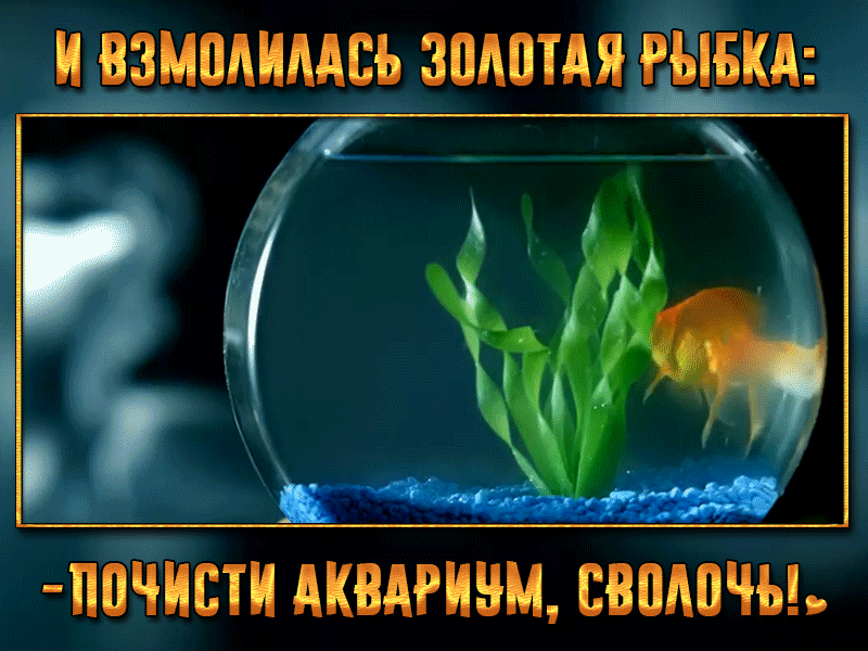 ппнисти Аквдгинм свпдпчы