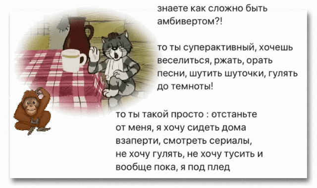 знаете как сложно быть амбивертом то ты суперактивный хочешь веселиться ржать орать песни шутить шуточки гулять до темноты то ты такой просто отстаньте от меня я хочу сидеть дома взаперти смотреть сериалы не хочу гулять не хочу тусить и вообще пока я под плед
