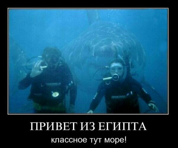 ПРИВЕТ ИЗ ЕГИПТА кпассное тут море