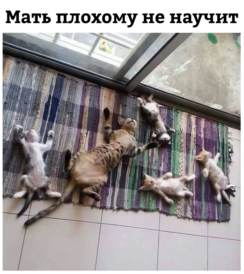 Мать плохому не научит