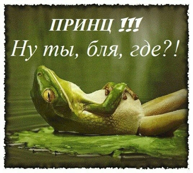 ПРИНЦ Щ Ну ты бля где