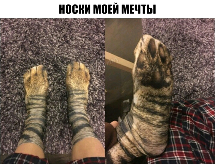 Ы __ и Е м и 0 М и и Р 0