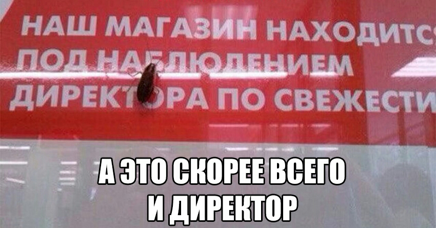 ШЭЁШСЁЮЁЕЁШЁЁЮ ШШ