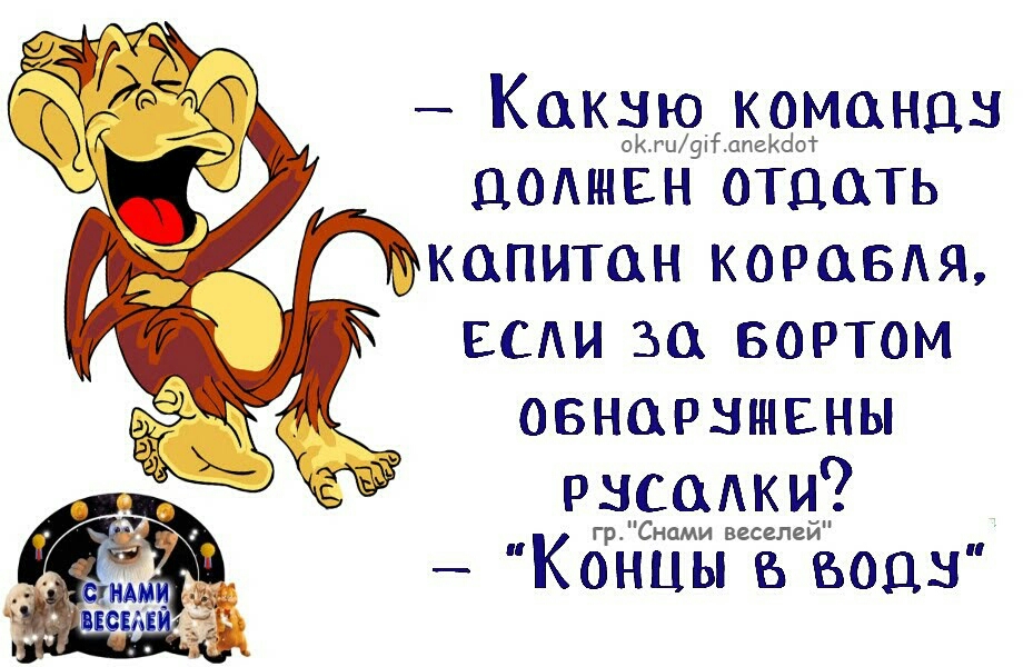 КМЁЩЙЫЗЮНЦЗ домнвн отдать капитан коровш вы за вортом овнорншвны рнсадки К Гр СНЦМИ веселеи ОНЦЫ 6005