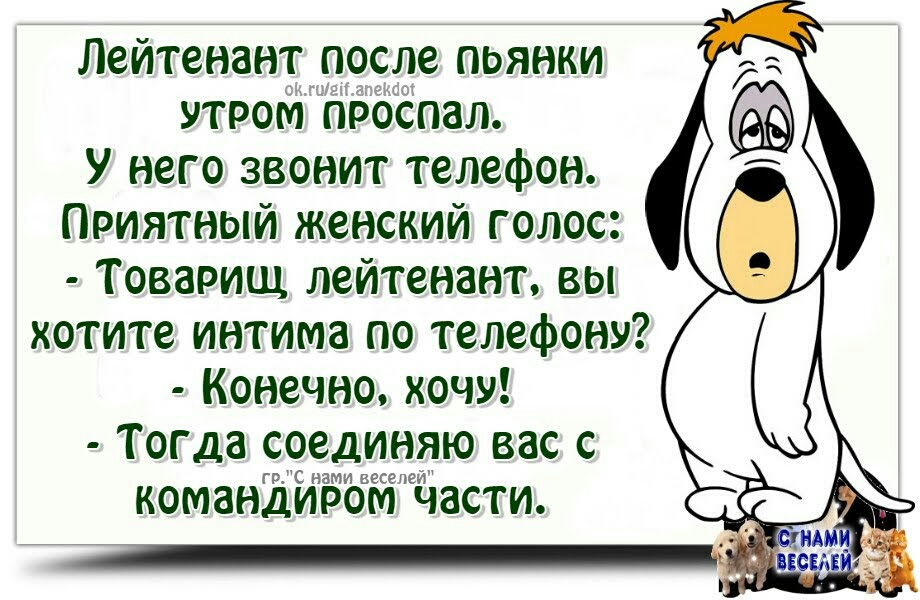 Лейтенант после пьянки утром проспал У него звонит телефон Приятный женский голос Товарищ лейтенант вы хотите интима по телефону Конечно хочу Тогда соединяю вас с гріс нами веселей КОМЗНДИРОМ ЧЗСТИ