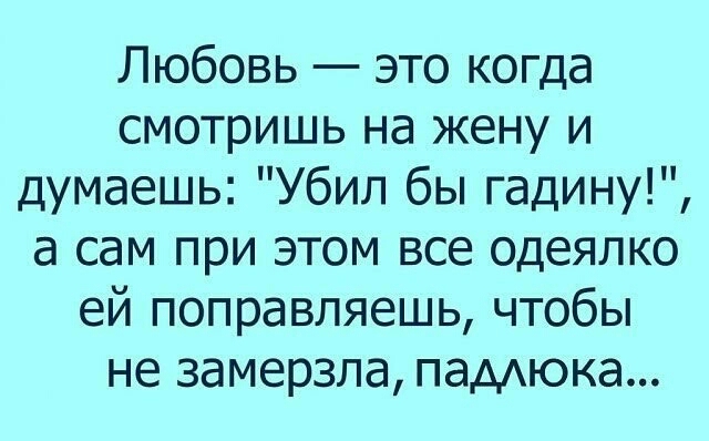 Любовь это когда смотришь на жену и думаешь Убил бы гадину а сам при этом все одеялко ей поправляешь чтобы не замерзла падюка