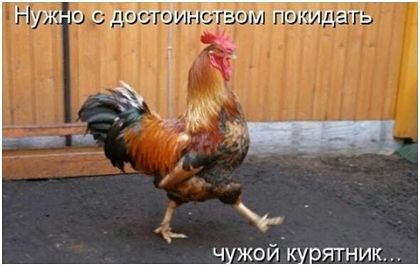 Нужно сдёщв Но покидать