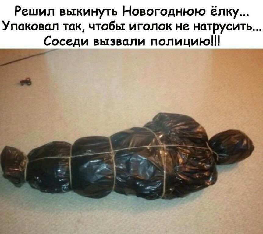 Решил выкинуть Новогоднюю ёлку Упаковал так чтобы иголок не натрусить _ Соседи вызвали полицию