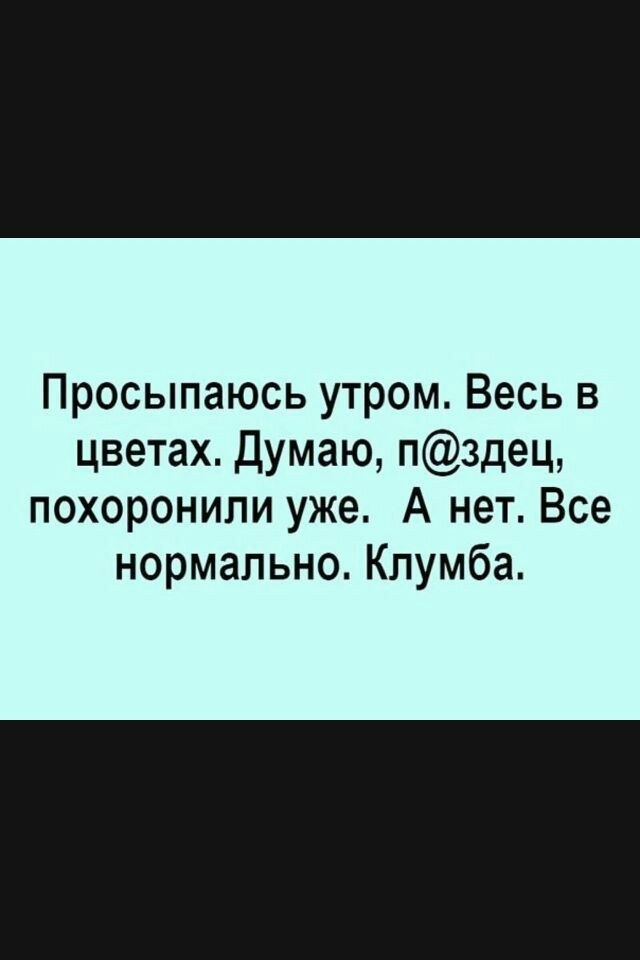 Просыпаюсь утром Весь в цветах Думаю пздец похоронили уже А нет Все нормально Клумба