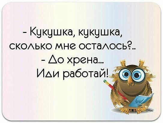 Кукушка кукушка СКОЬКО мне остаось Ао хрена ИАИ работай