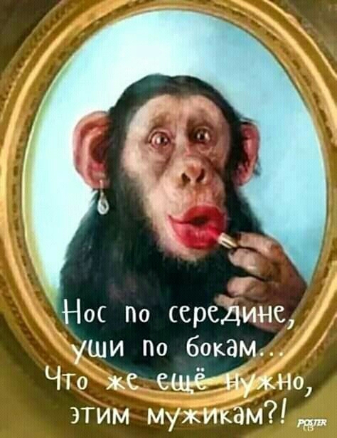 Нос по ссреДинс уши По бокам ЧТо же этим мужикам
