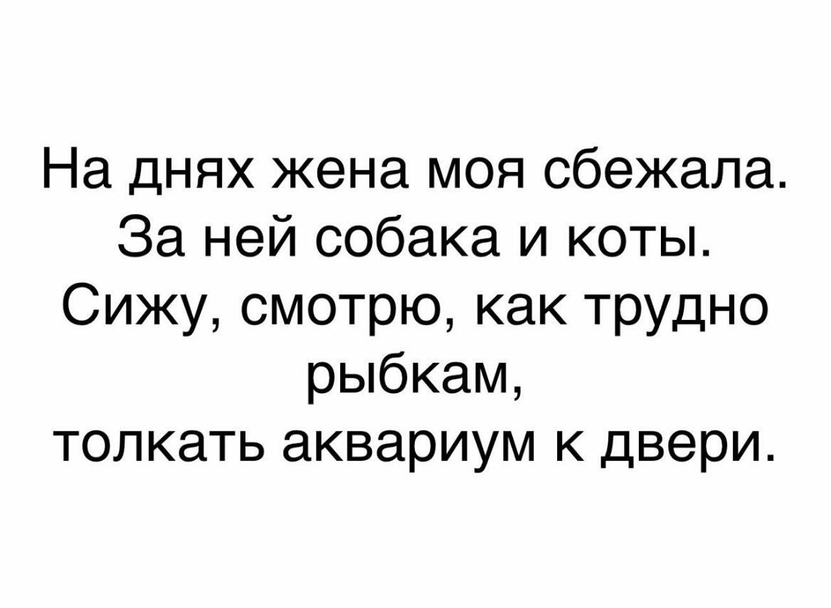На днях жена моя сбежала За ней собака и коты Сижу смотрю как трудно рыбкам толкать аквариум к двери