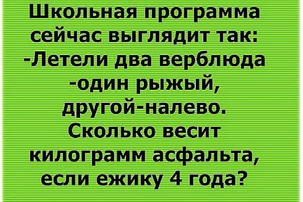 Школьная программа сейчас выглядит так Летели два верблюда один рыжый другой налево Сколько весит килограмм асфальта если ежику 4 года