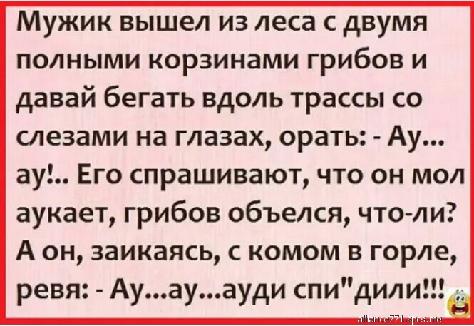 Мужик вышел из леса с двумя полными корзинами грибов и давай бегать вдоль трассы со слезами на глазах орать Ау ау Его спрашивают что он мол аукает грибов объелся что ли А он заикаясь комом в горле ревя Ауауауди спидили