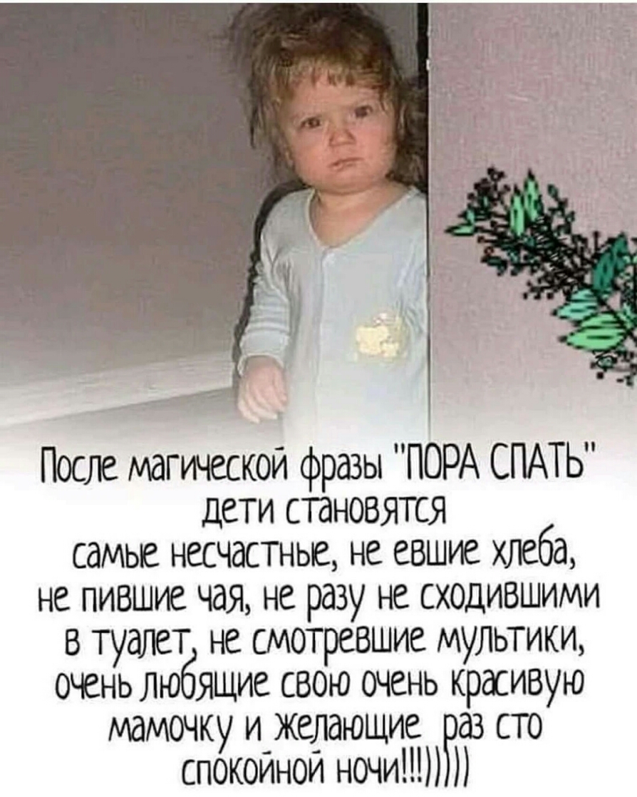 После магической фразы ПОРА СПАТЬ дети становятся самье несчастнье не евшие хлеба не пившие чая не разу не сходившими в туалет не смотревшие мультики очень любящие свою очень красивую мамочку ижедающие Бэаз сто спокоинои ночи