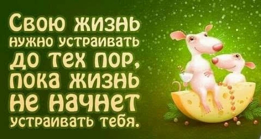 Свою жизнь НУЖНО устраивать ДО ТСХ ПОР ПОКЗ ЖИЗНЬ не начнет устраивать тебя
