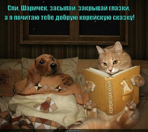 Спи Шипицвн зипыпий зинпывии шиЪжи я пвцитию теПв двШшю ноивйпнчю внизни