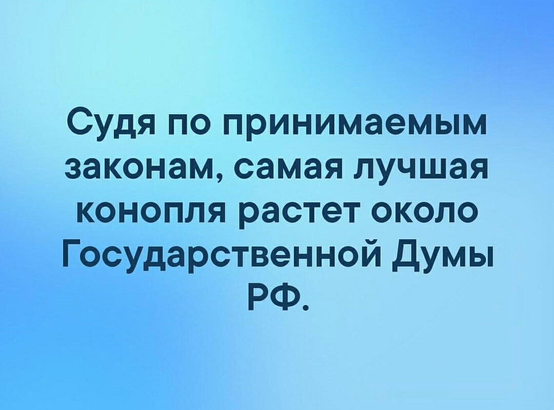 Судя по принимаемым законам самая лучшая конопля растет около Государственной Думы РФ