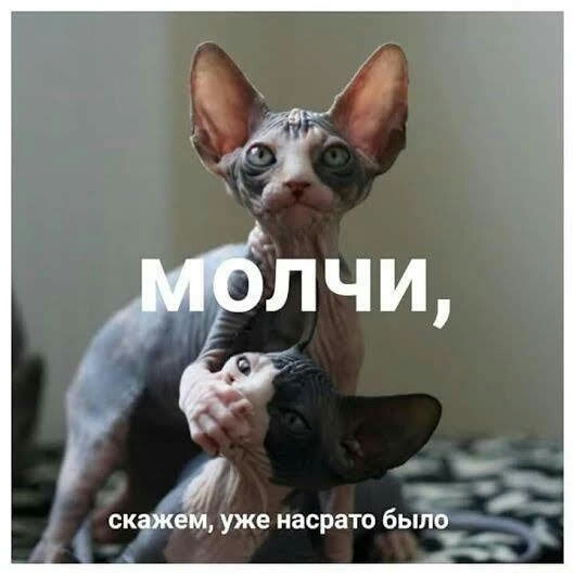екрані уже насрато было іъц