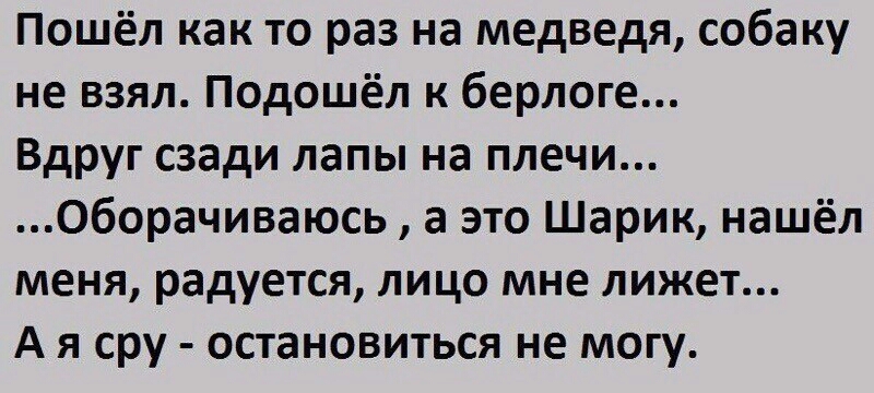 Пошёл как то раз на медведя собаку не взял Подошёл к берлоге Вдруг сзади лапы на плечи Оборачиваюсь а это Шарик нашёл меня радуется лицо мне лижет А я сру остановиться не могу