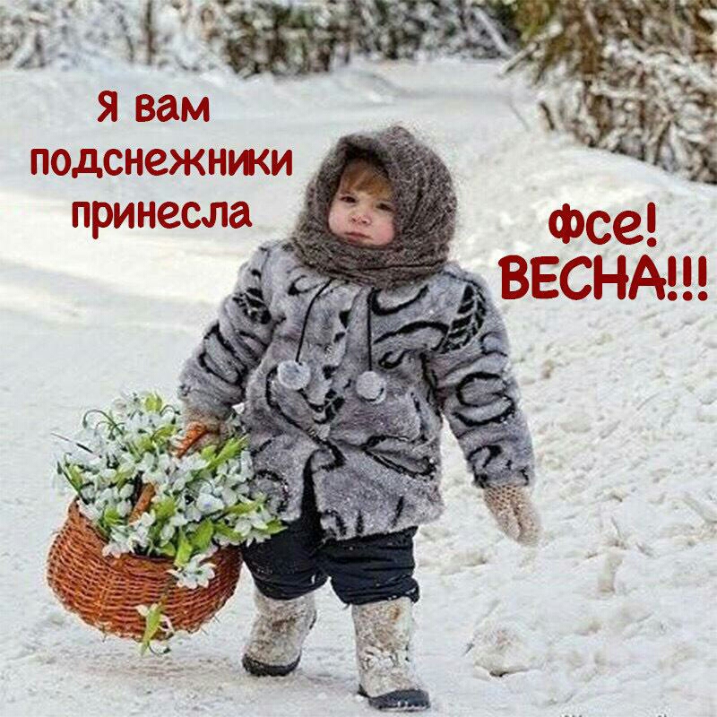 подснежнжи принесла Фсе