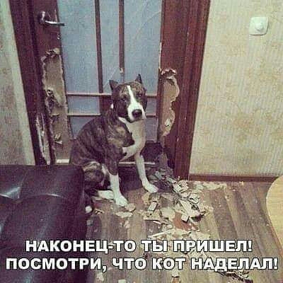 ПОСМОТРЙ