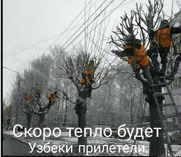 Сёко щепдбд дёт УЁЁЁЁИ 1п 14 6315 4